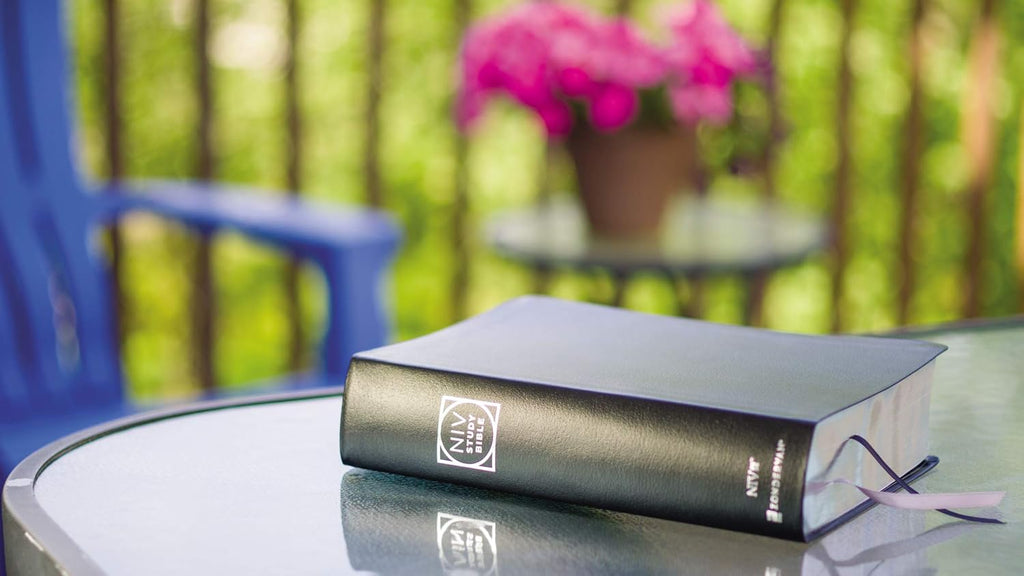 NIV Study Bible (Fully Revised Edition)