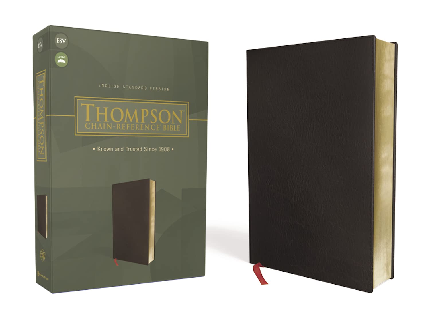Thompson Chain Reference Bible (ESV)