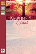 Amplified Bible (Black)