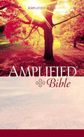 Amplified Bible (Paperback)