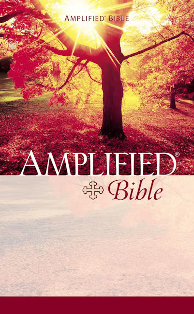 Amplified Bible (Paperback)
