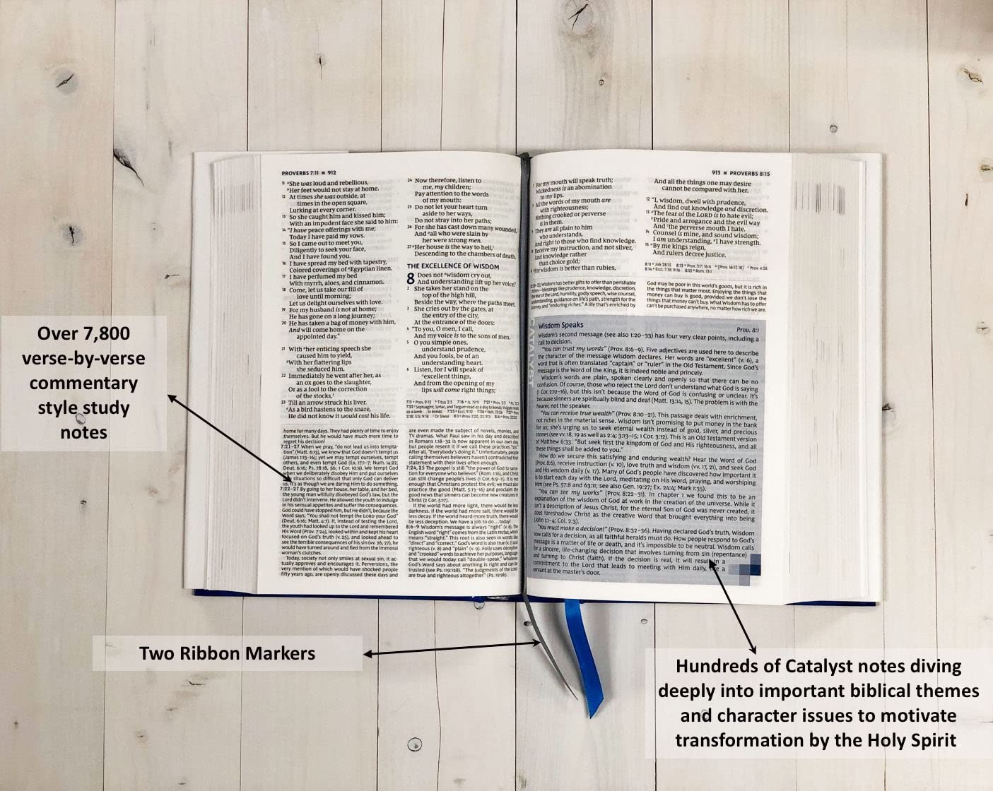 The Wiersbe Study Bible (NJKV)