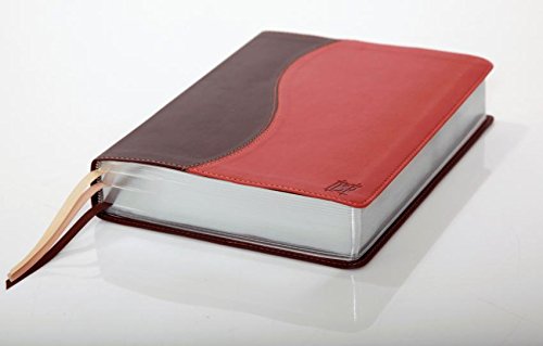 The Scriptures Bible