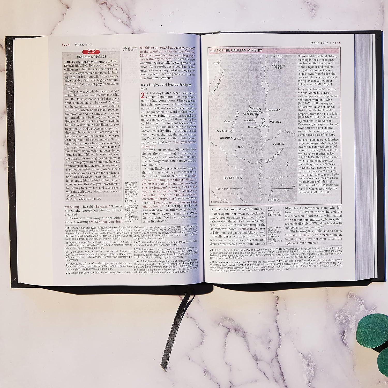 New Spirit-Filled Life Bible (NIV)