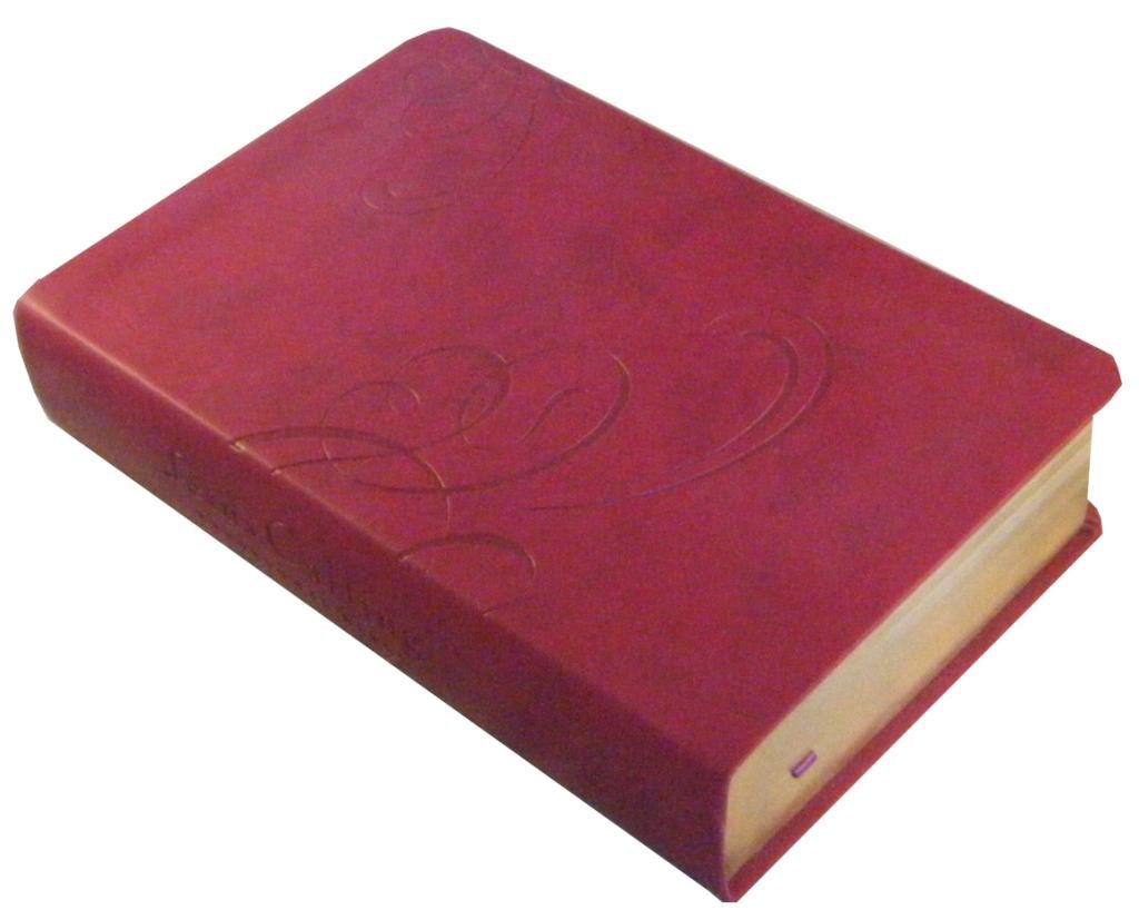 Jesus Calling Devotional Bible (NKJV)