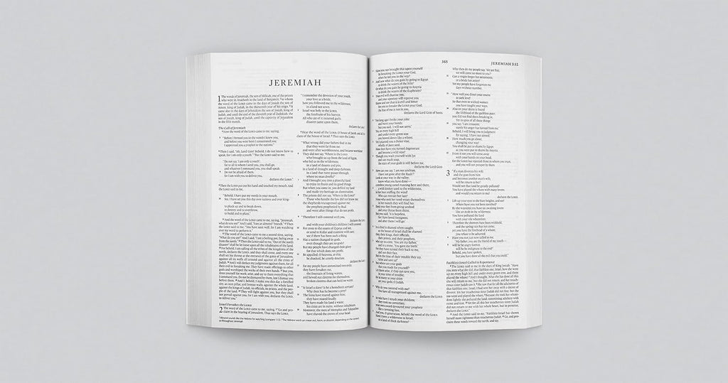 The Holy Bible (ESV) (Softcover)