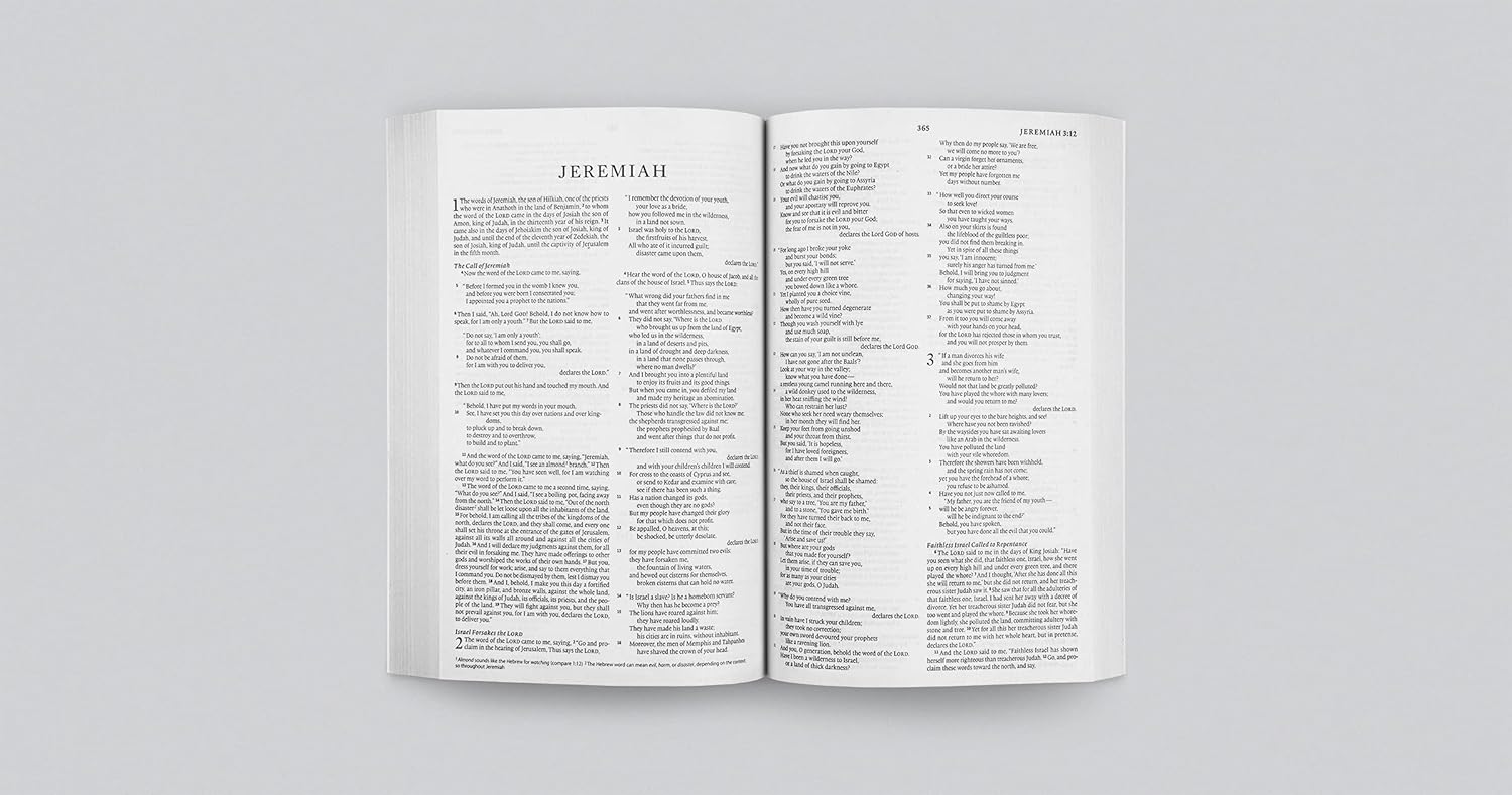 The Holy Bible (ESV) (Softcover)