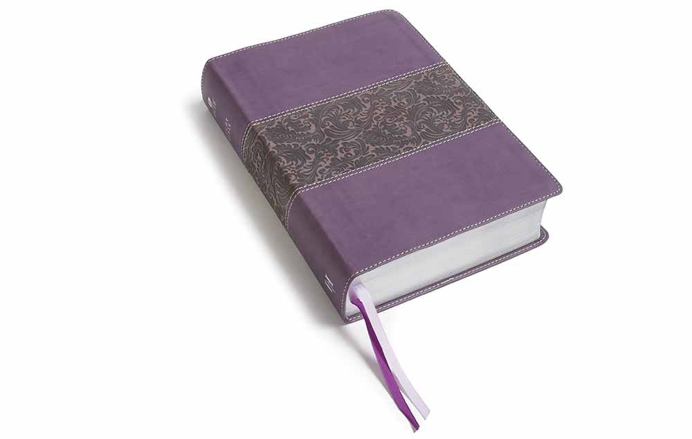 HCSB Study Bible (Mulberry)