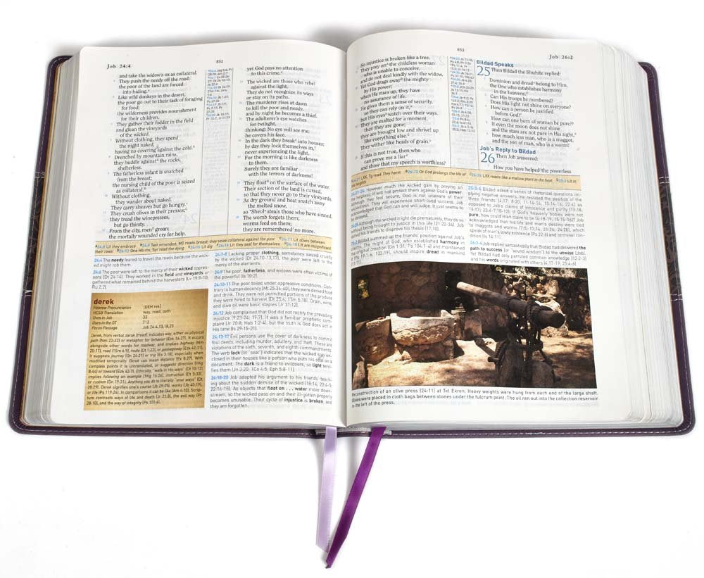 HCSB Study Bible (Mulberry)