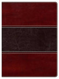 Holman Study Bible (NKJV)