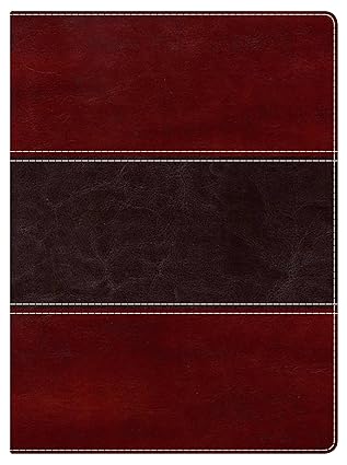 Holman Study Bible (NKJV)