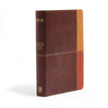 Rainbow Study Bible (NIV)