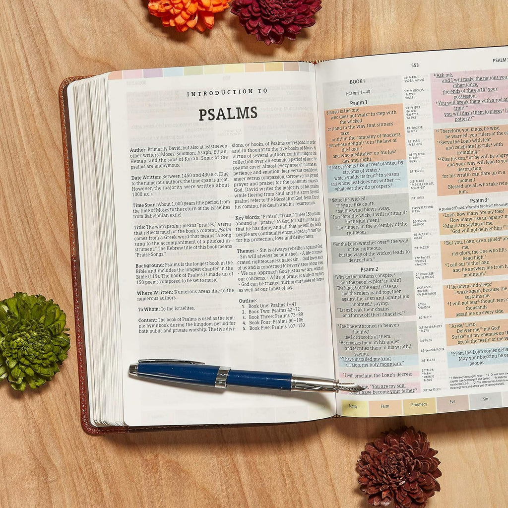 Rainbow Study Bible (NIV)