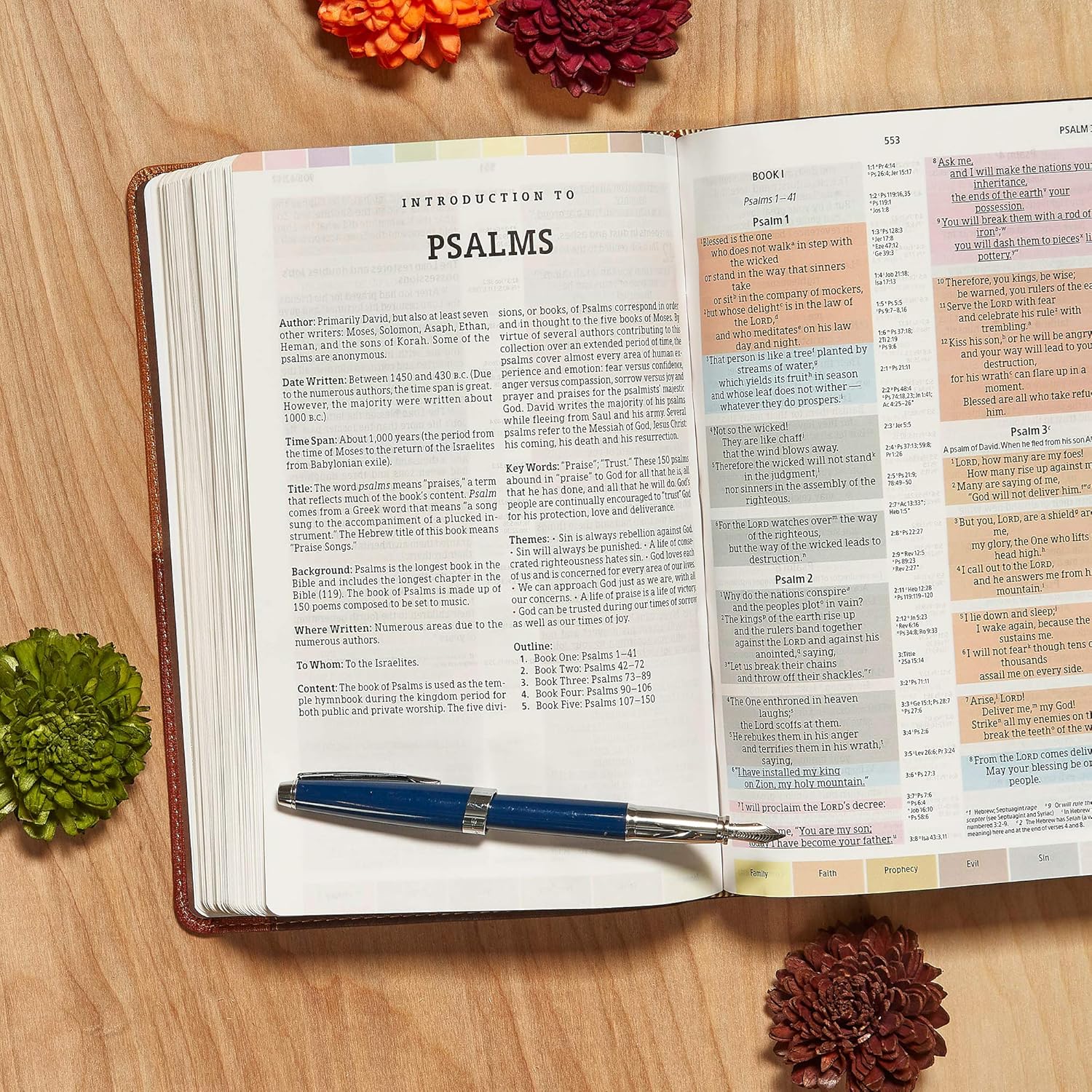 Rainbow Study Bible (NIV)