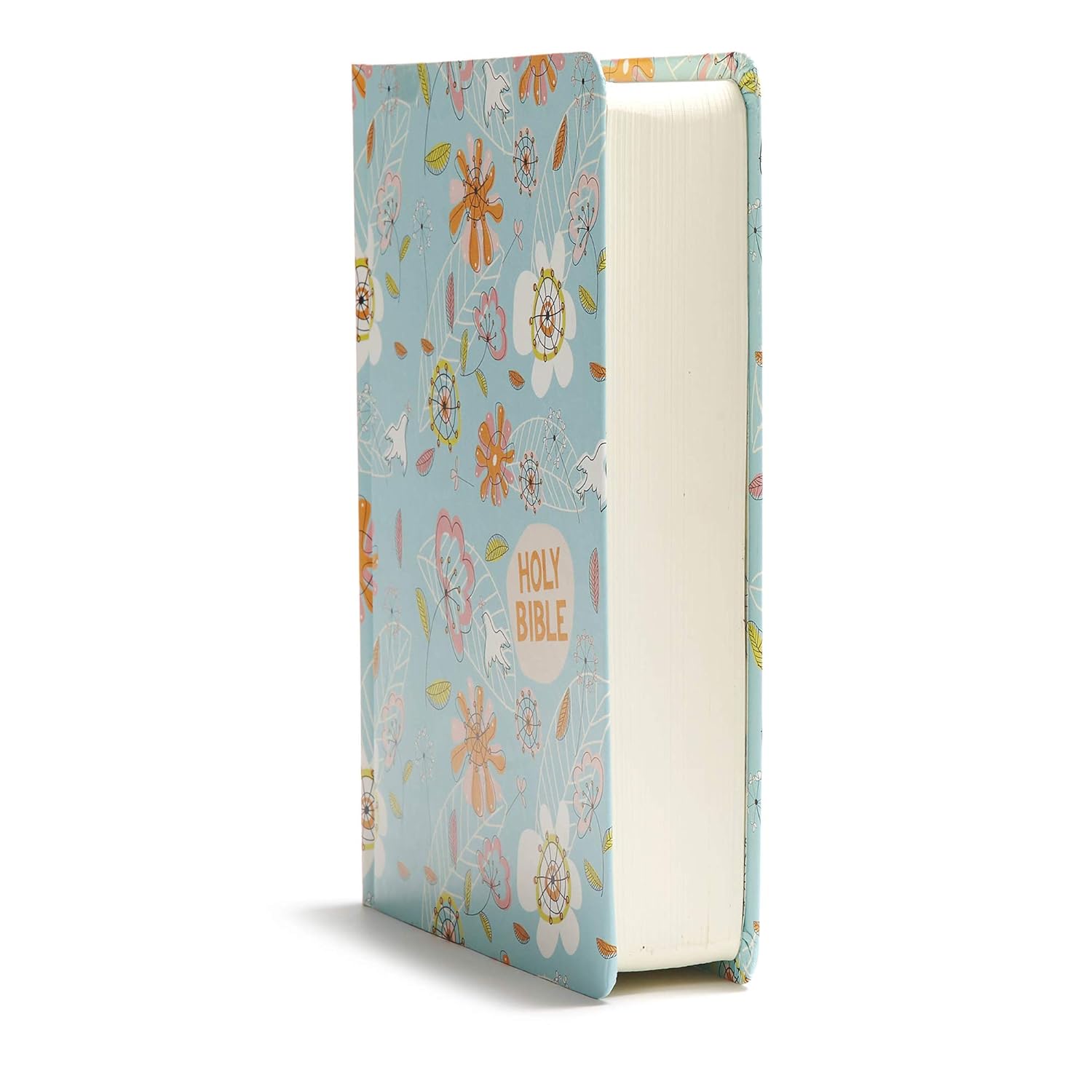 CSB Journal and Draw Bible For Kids, Blue