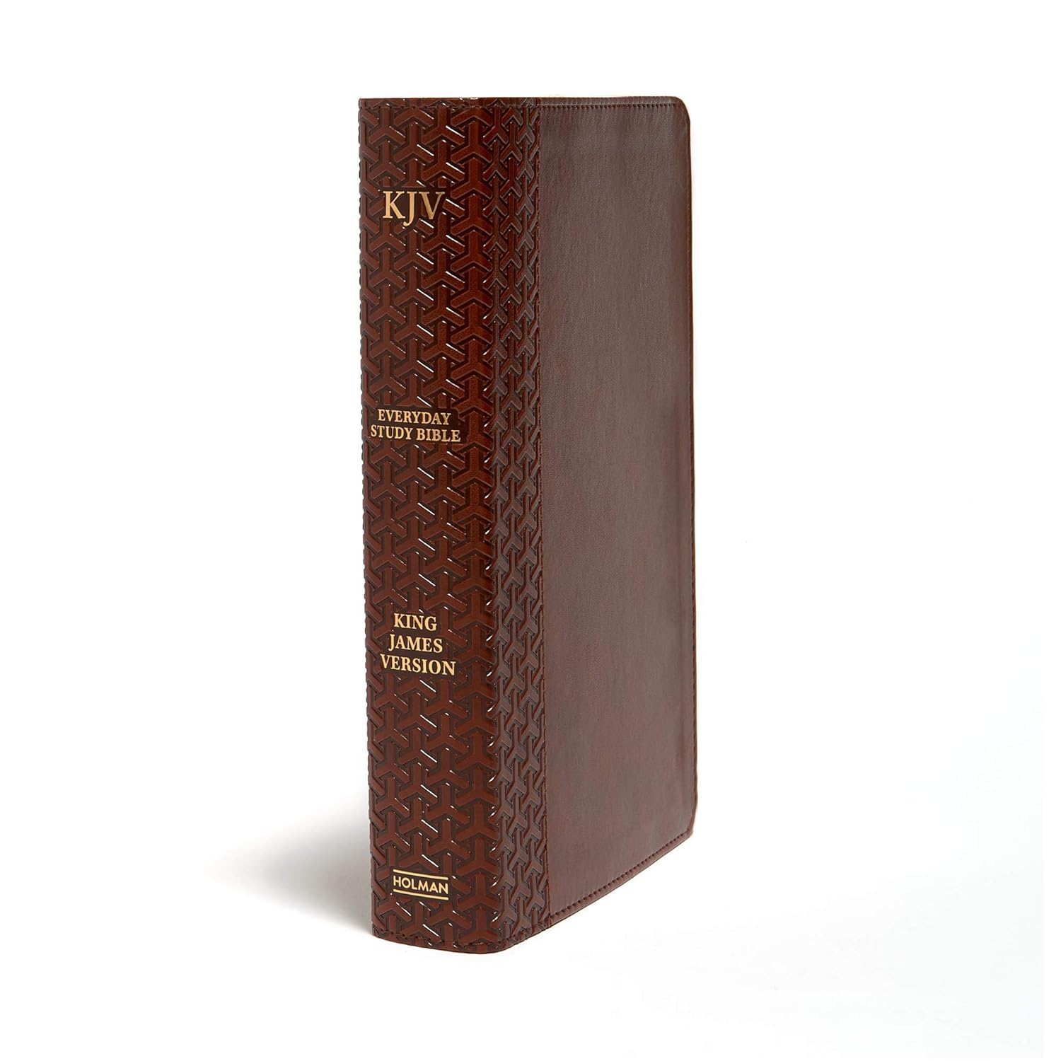 Everyday Study Bible (KJV)