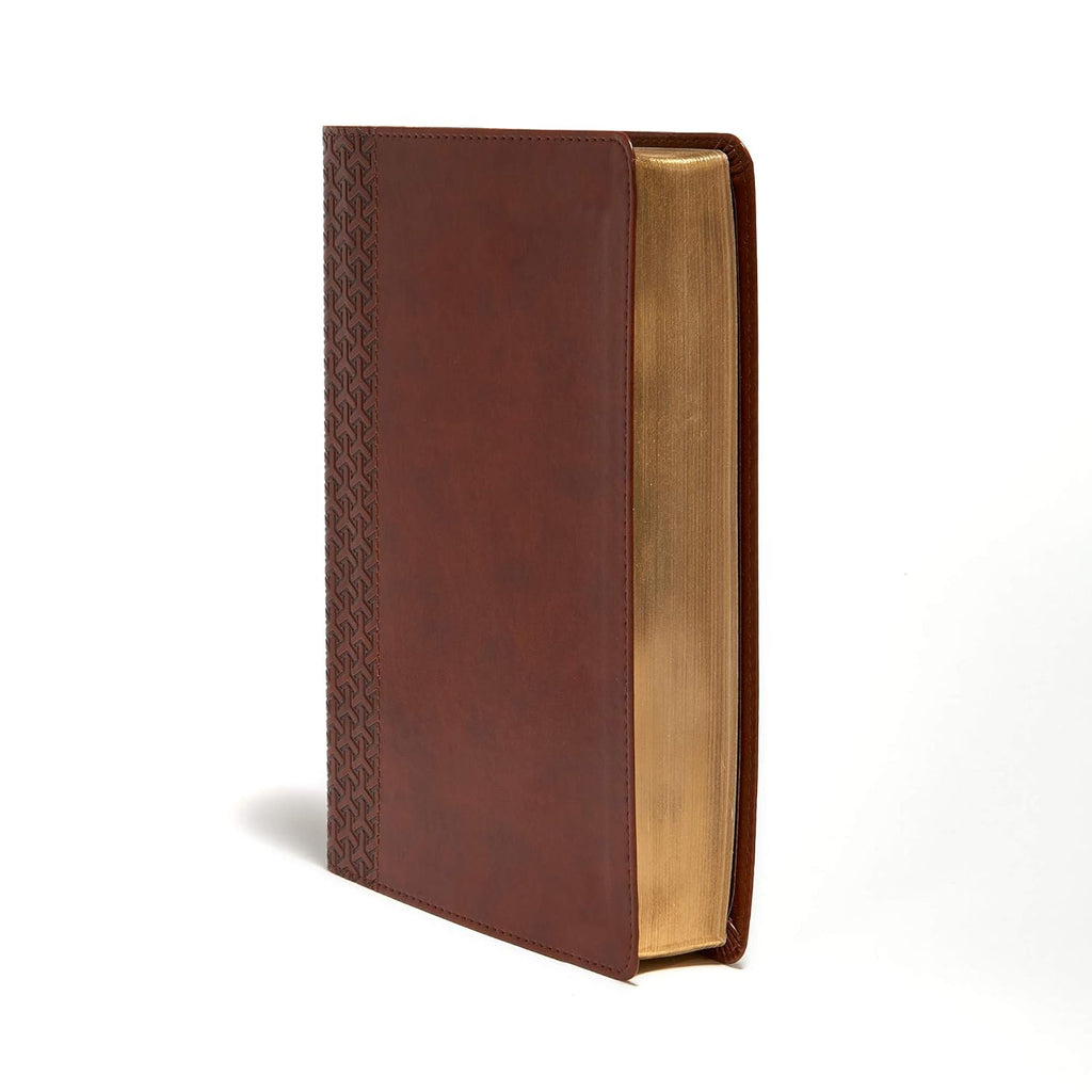 Everyday Study Bible (KJV)