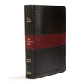 The Apologetics Study Bible (KJV)