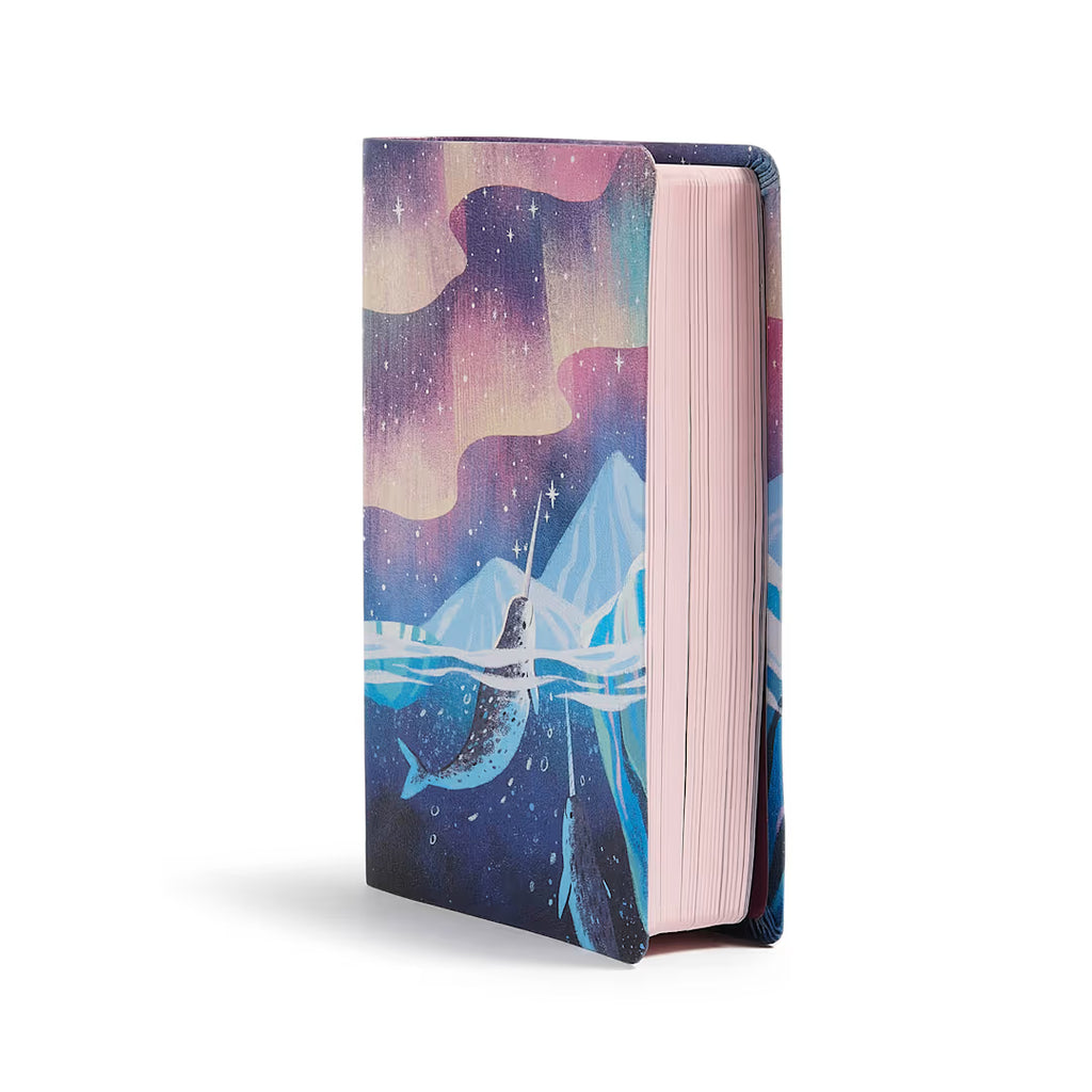 Kids Bible (CSB)