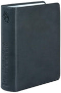 Fire Bible Student Edition (NIV)