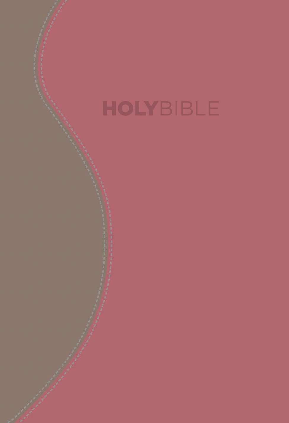 Fire Bible Study Bible (KJV)