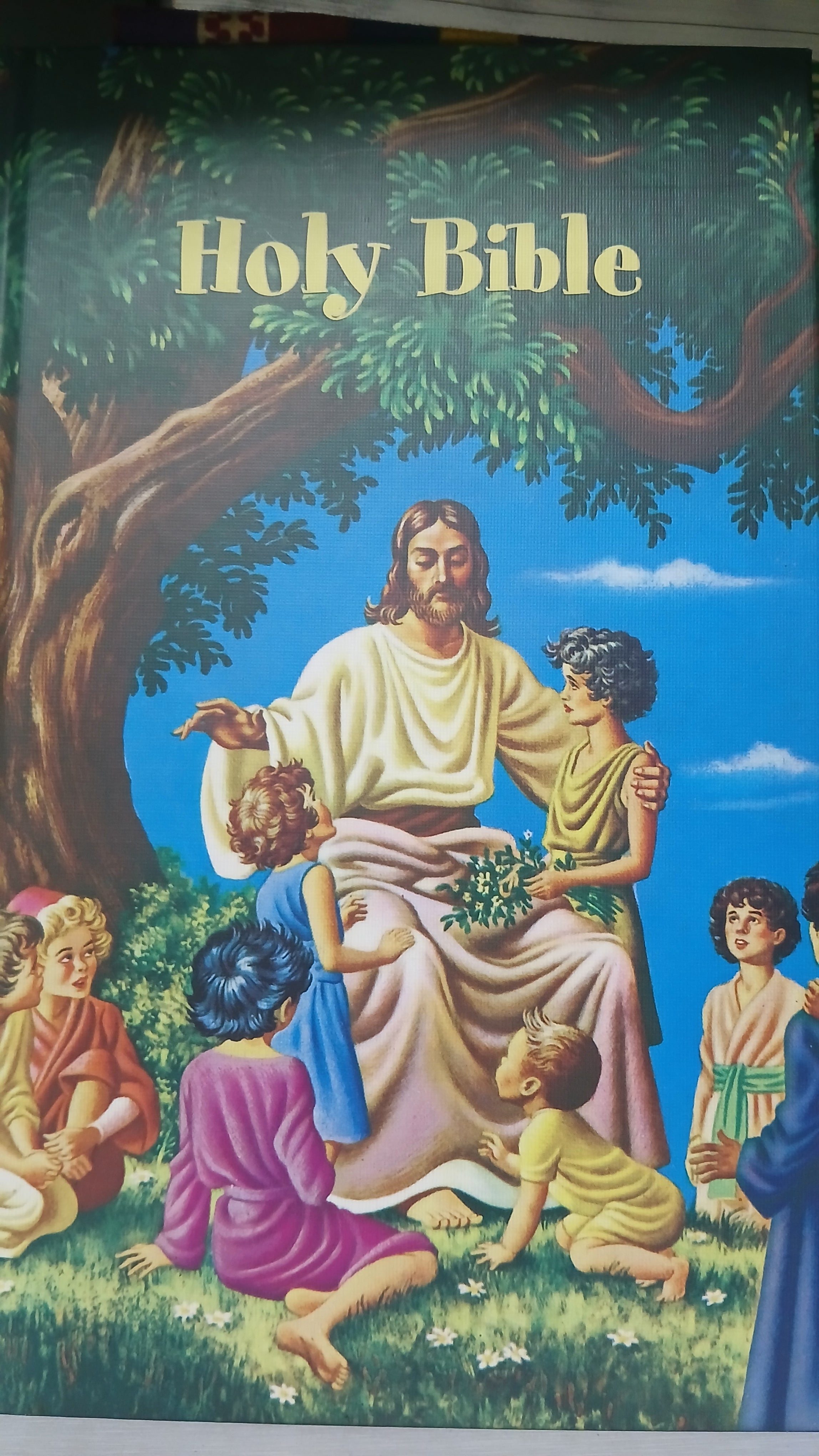 Rainbow Bible for Children